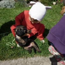 Byli jsme se podívat na štěňátka