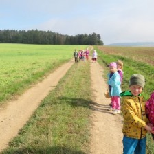 Byli jsme v lese na houbách