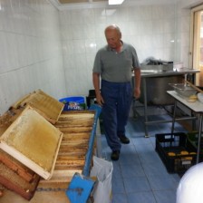 Díváme se na včelky a jak se vyrábí med