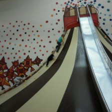 Hala BONGO