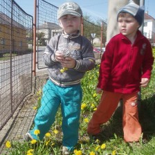 Hledáme hnízdečko slepičky a zajíčka