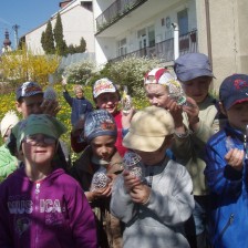 Hledáme hnízdečko slepičky a zajíčka