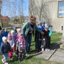 Hledáme slepičku nebo zajíčka na zahradě