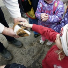 Na farmě v Olbramicích