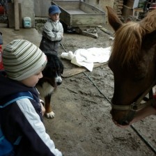 Na farmě v Olbramicích
