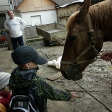 Na farmě v Olbramicích