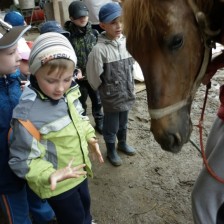 Na farmě v Olbramicích