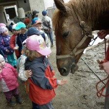 Na farmě v Olbramicích