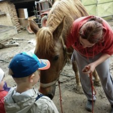 Na farmě v Olbramicích