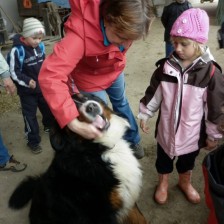 Na farmě v Olbramicích