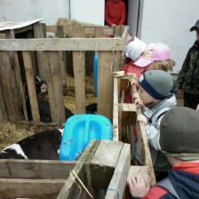 Na farmě v Olbramicích