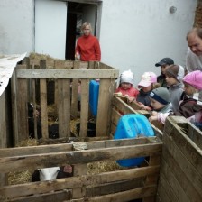 Na farmě v Olbramicích