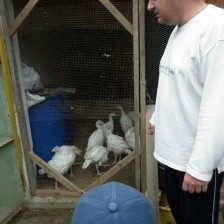 Na farmě v Olbramicích