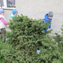Našli jsme vajíčka od slepičky na Velikonoce