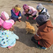 Návštěva na  &quot;Zlaté farmě&quot; ve Štětovicích.