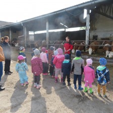 Návštěva na  &quot;Zlaté farmě&quot; ve Štětovicích.