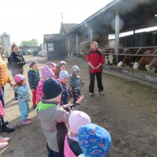 Návštěva na  &quot;Zlaté farmě&quot; ve Štětovicích.
