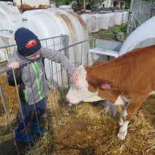 Návštěva na  &quot;Zlaté farmě&quot; ve Štětovicích.