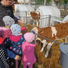 Návštěva na  &quot;Zlaté farmě&quot; ve Štětovicích.