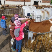 Návštěva na  &quot;Zlaté farmě&quot; ve Štětovicích.