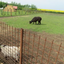 Návštěva na  &quot;Zlaté farmě&quot; ve Štětovicích.