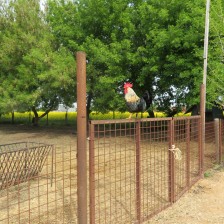 Návštěva na  &quot;Zlaté farmě&quot; ve Štětovicích.