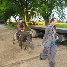 Návštěva na  &quot;Zlaté farmě&quot; ve Štětovicích.