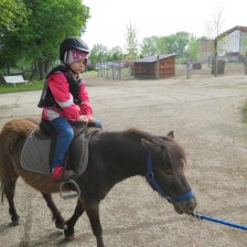 Návštěva na  &quot;Zlaté farmě&quot; ve Štětovicích.