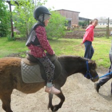 Návštěva na  &quot;Zlaté farmě&quot; ve Štětovicích.