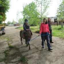 Návštěva na  &quot;Zlaté farmě&quot; ve Štětovicích.