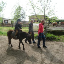 Návštěva na  &quot;Zlaté farmě&quot; ve Štětovicích.