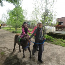 Návštěva na  &quot;Zlaté farmě&quot; ve Štětovicích.