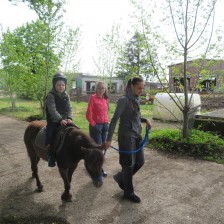 Návštěva na  &quot;Zlaté farmě&quot; ve Štětovicích.