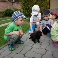 Návštěva u štěňátek