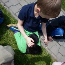 Návštěva u štěňátek