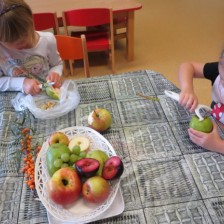 Pekli jsme ovocný štrůdl, navštívili jsme moštárnu