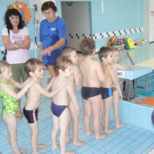 Plavání 2010