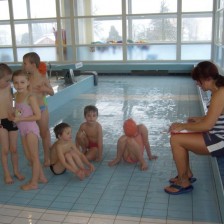 Plavání 2010