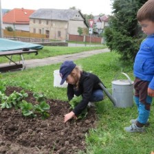 Připravujeme záhonek na jahody