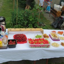Rozloučení se školním rokem a pasování předškoláků na zahradě
