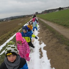 Stromeček v lese pro zvířátka.