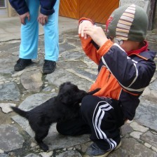 U štěňátka