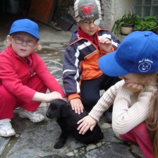 U štěňátka
