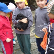 U štěňátka