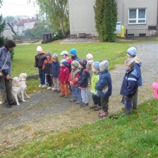 Ukázka canisterapie v MŠ