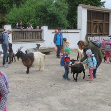 Výlet do DinoParku ve Vyškově.