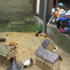 Výlet do DinoParku ve Vyškově.