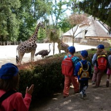 Výlet do ZOO Lešná