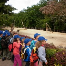 Výlet do ZOO Lešná