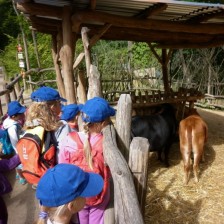Výlet do ZOO Lešná